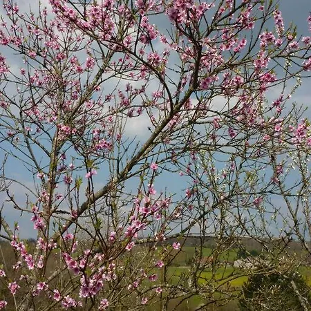 The Piggery, Charming Converted Stone Feriehus Saint-Mesmin (Dordogne)