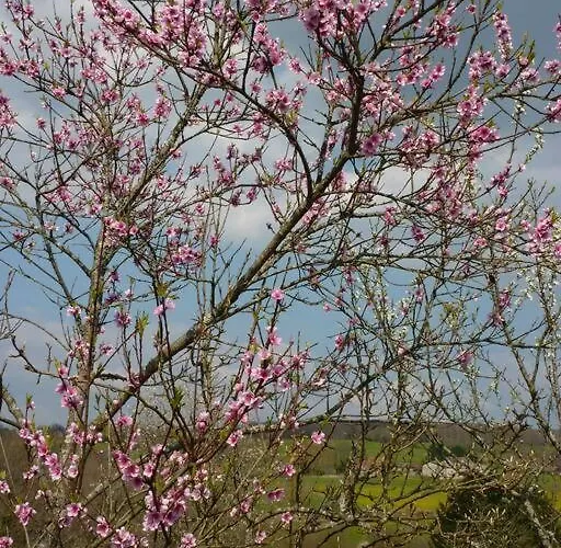 The Piggery, Charming Converted Stone 펜션 Saint-Mesmin (Dordogne)